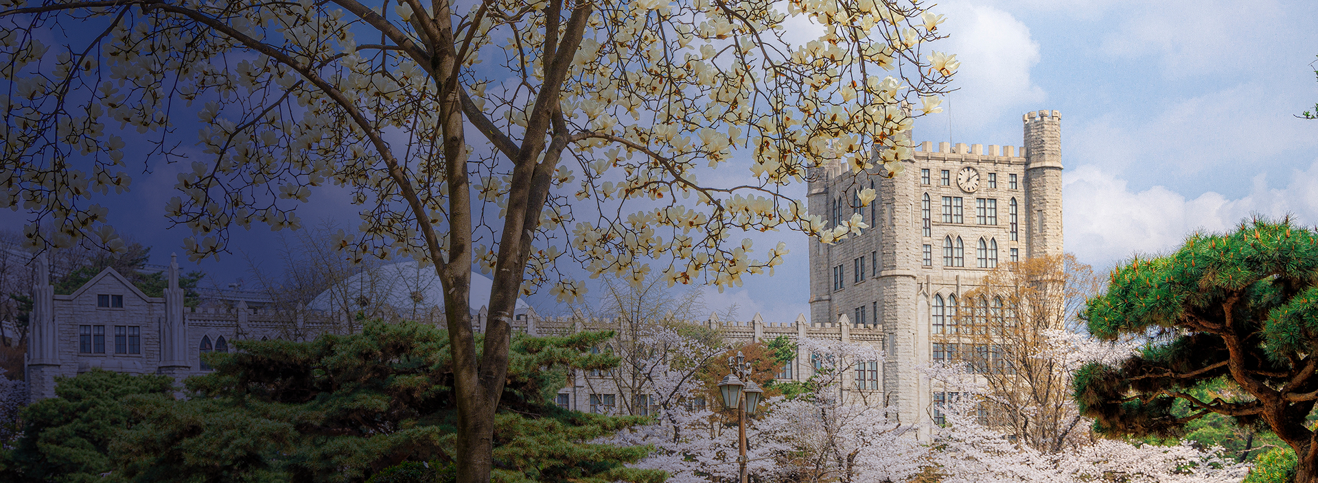 이미지 설명입니다.