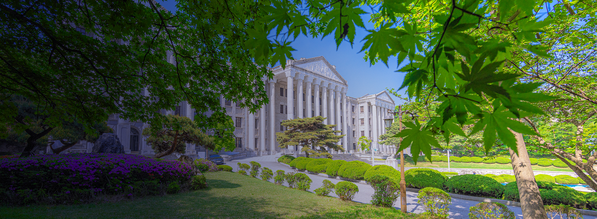 이미지 설명입니다.