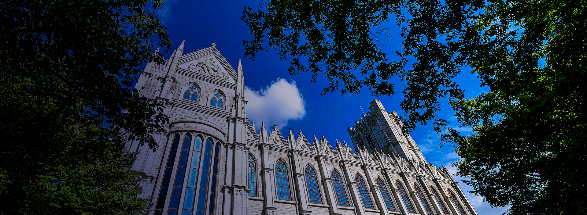 이미지 설명입니다.